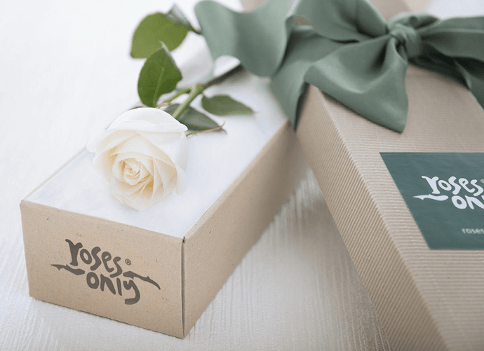 Single White Cream Rose Gift Box