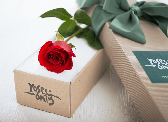 Single Red Rose Gift Box