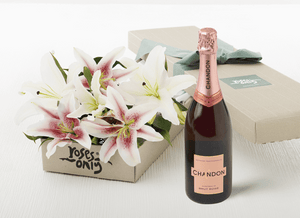 6 PINK LILIES GIFT BOX & CHANDON ROSE 750ML