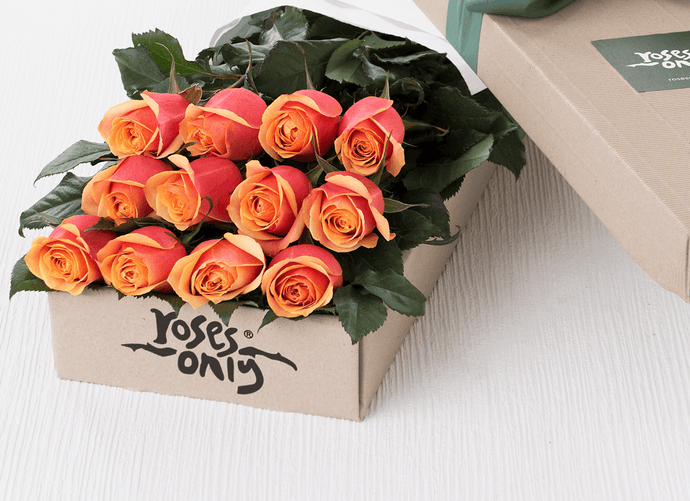 12 Cherry Brandy Roses Gift Box (ROA06-012)