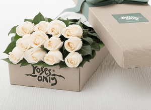 12 White Cream Roses Gift Box (ROA08-12)