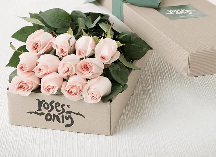 12 Pastel Pink Roses Gift Box