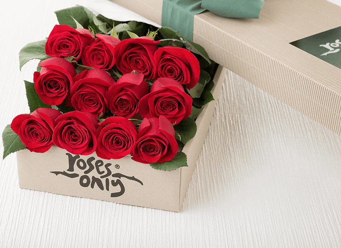 12 Red Roses Valentines Gift Box