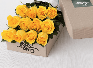 12 Yellow Roses Gift Box