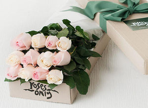 12 Pastel Mixed Roses Gift Box