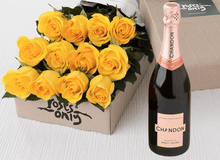 12 Yellow Roses Gift Box & Champagne