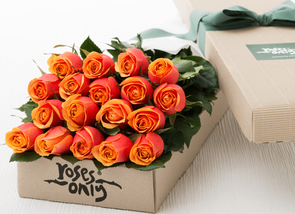 18 Cherry Brandy Roses Gift Box