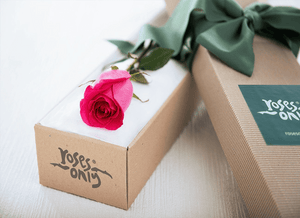 Single Bright Pink Rose Gift Box