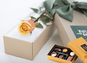 Single Cherry Brandy Rose Gift Box & Chocolates