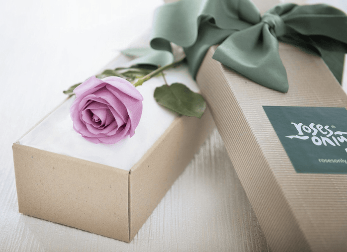 Single Mauve Rose Gift Box