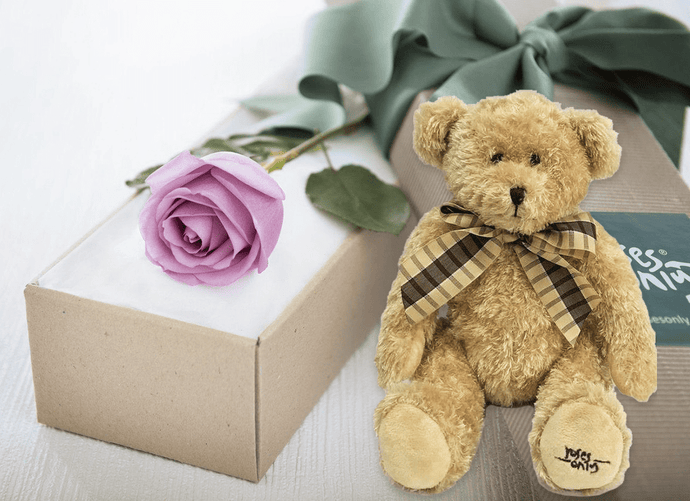 Single Mauve Rose Gift Box & Teddy Bear