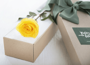Single Yellow Rose Gift Box