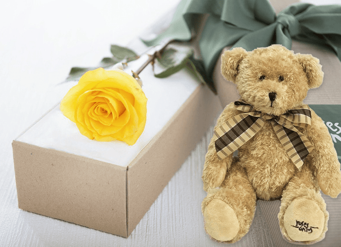 Single Yellow Rose Gift Box & Teddy Bear