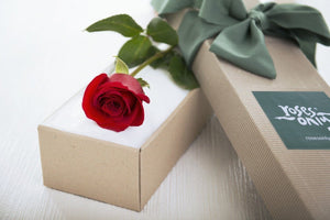 Single Red Rose Valentines Gift Box