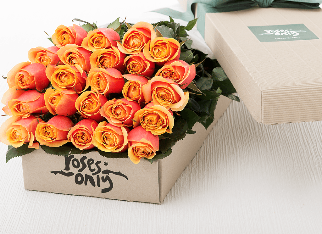 24 Cherry Brandy Roses Gift Box