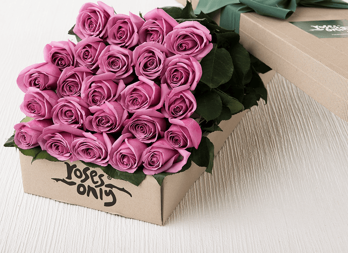 24 Mauve Roses Gift Box