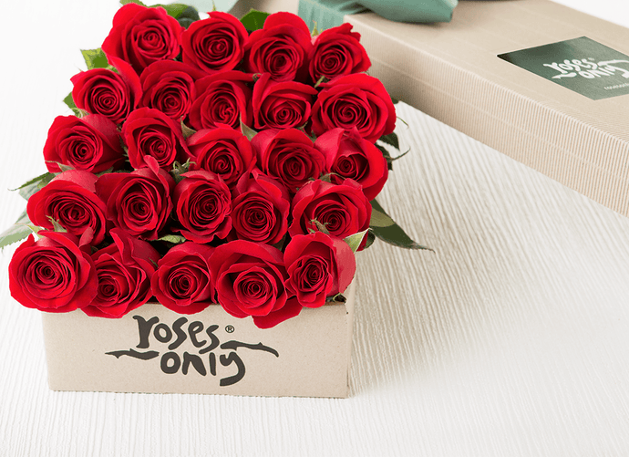 24 Red Roses Valentines Gift Box