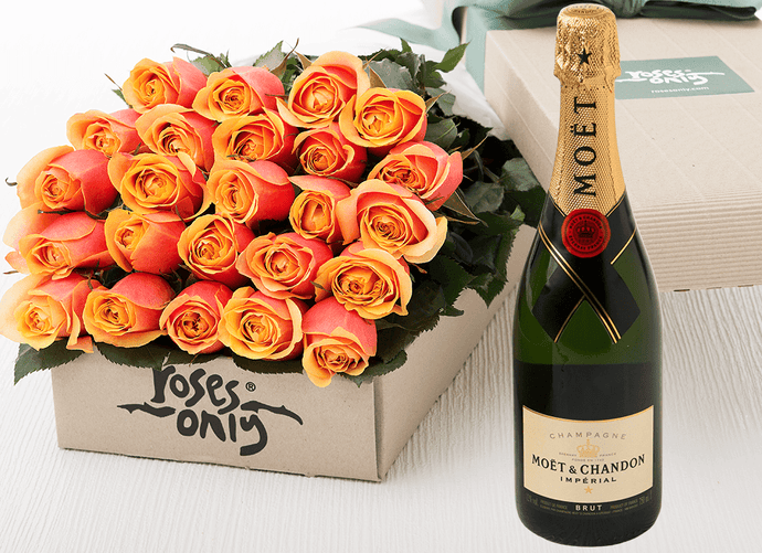 24 Cherry Brandy Roses Gift Box & Champagne