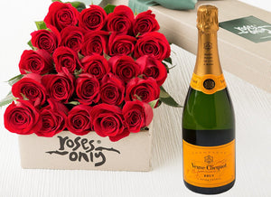 24 Red Roses Gift Box & Champagne