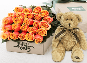 24 Cherry Brandy Roses Gift Box & Teddy Bear