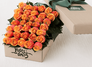36 Cherry Brandy Roses Gift Box