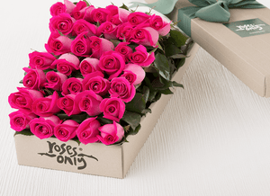 36 Bright Pink Roses Gift Box