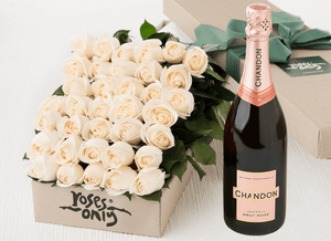 36 White Cream Roses Gift Box & Champagne