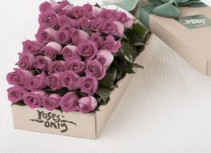 36 Mauve Roses Gift Box