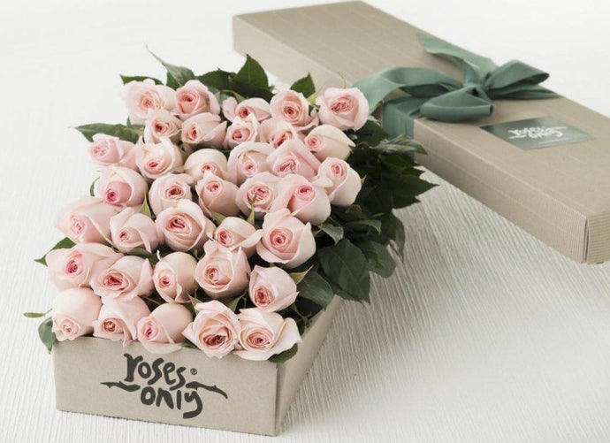 36 Pastel Pink Roses Gift Box