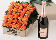 36 Cherry Brandy Roses Gift Box & Champagne