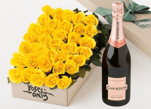 36 Yellow Roses Gift Box & Champagne