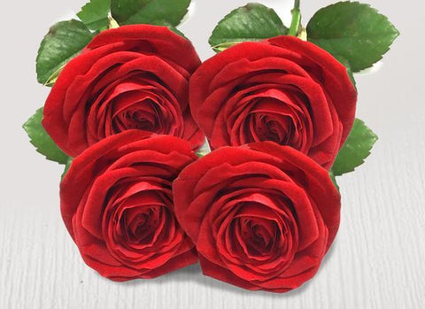 Four extra  stems
