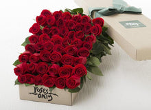 48 Red Roses Gift Box - Summer Special