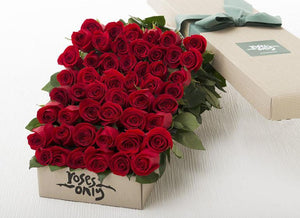 48 Red Roses Gift Box - Summer Special