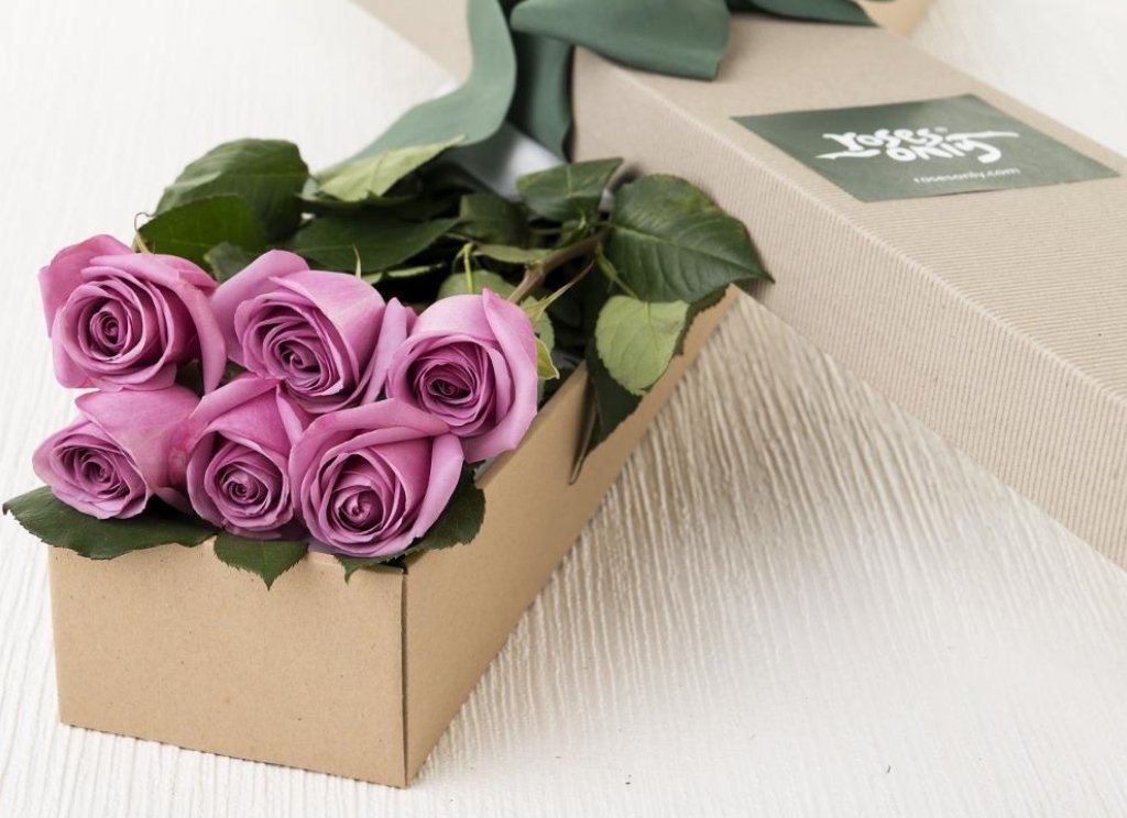 6 Mauve Roses Gift Box