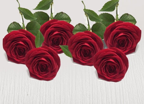 Six extra red stems