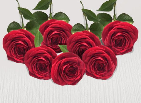 Seven extra red stems