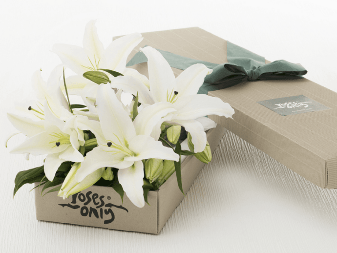 12 WHITE LILIES GIFT BOX