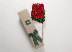 24 Red Roses Gift Box & Teddy Bear