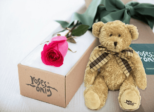 Single Bright Pink Rose Gift Box & Teddy Bear
