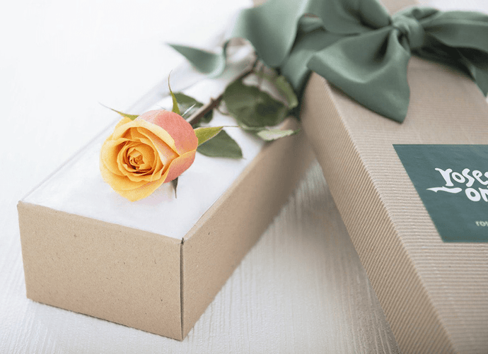Single Cherry Brandy Rose Gift Box