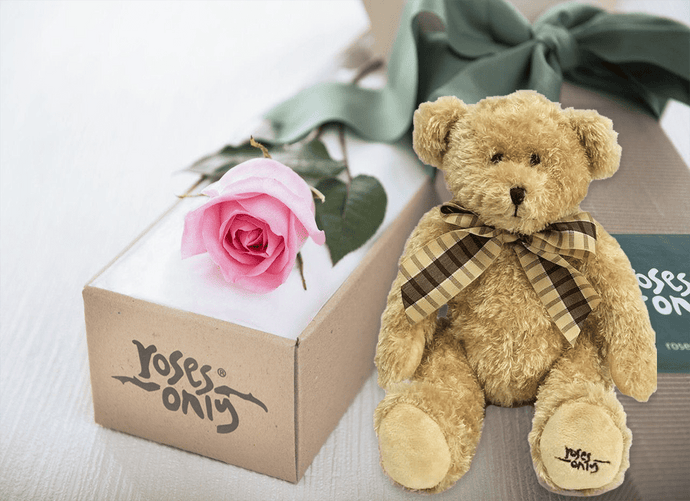 Single Pastel Pink Rose Gift Box & Teddy Bear