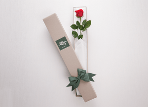 Single Red Rose Gift Box - Shopify Pay Test