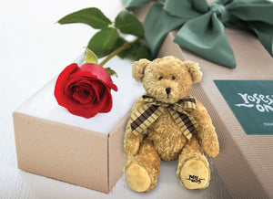 SINGLE RED ROSE Valentines Gift Box & TEDDY BEAR
