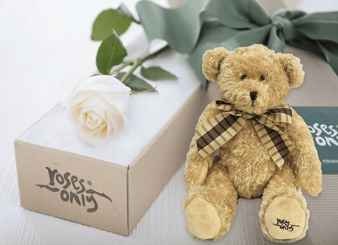 Single White Cream Rose Gift Box & Teddy Bear