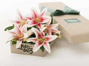 12 PINK LILIES GIFT BOX